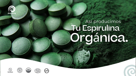 Sistema de producción