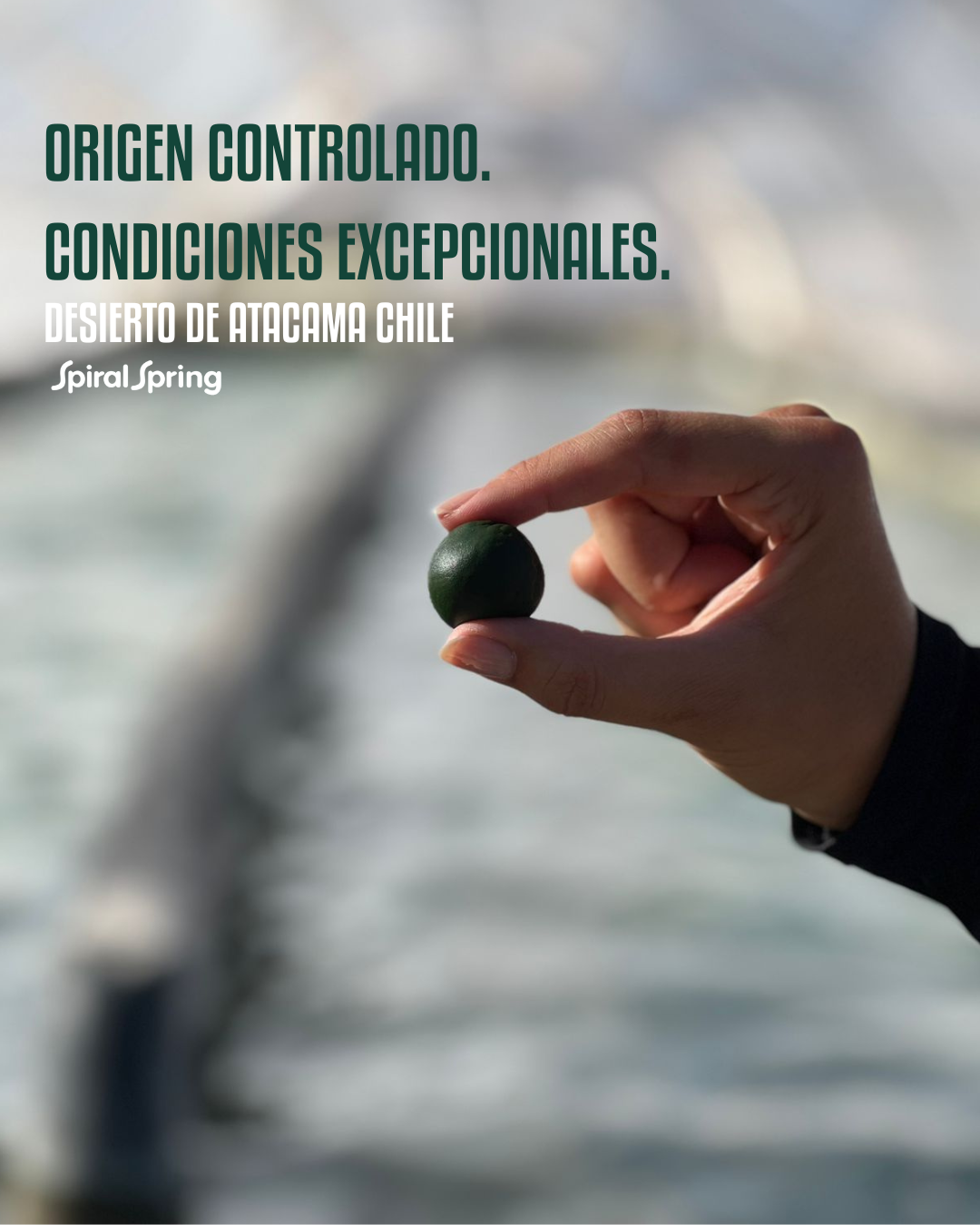 Espirulina en bolitas de 75g