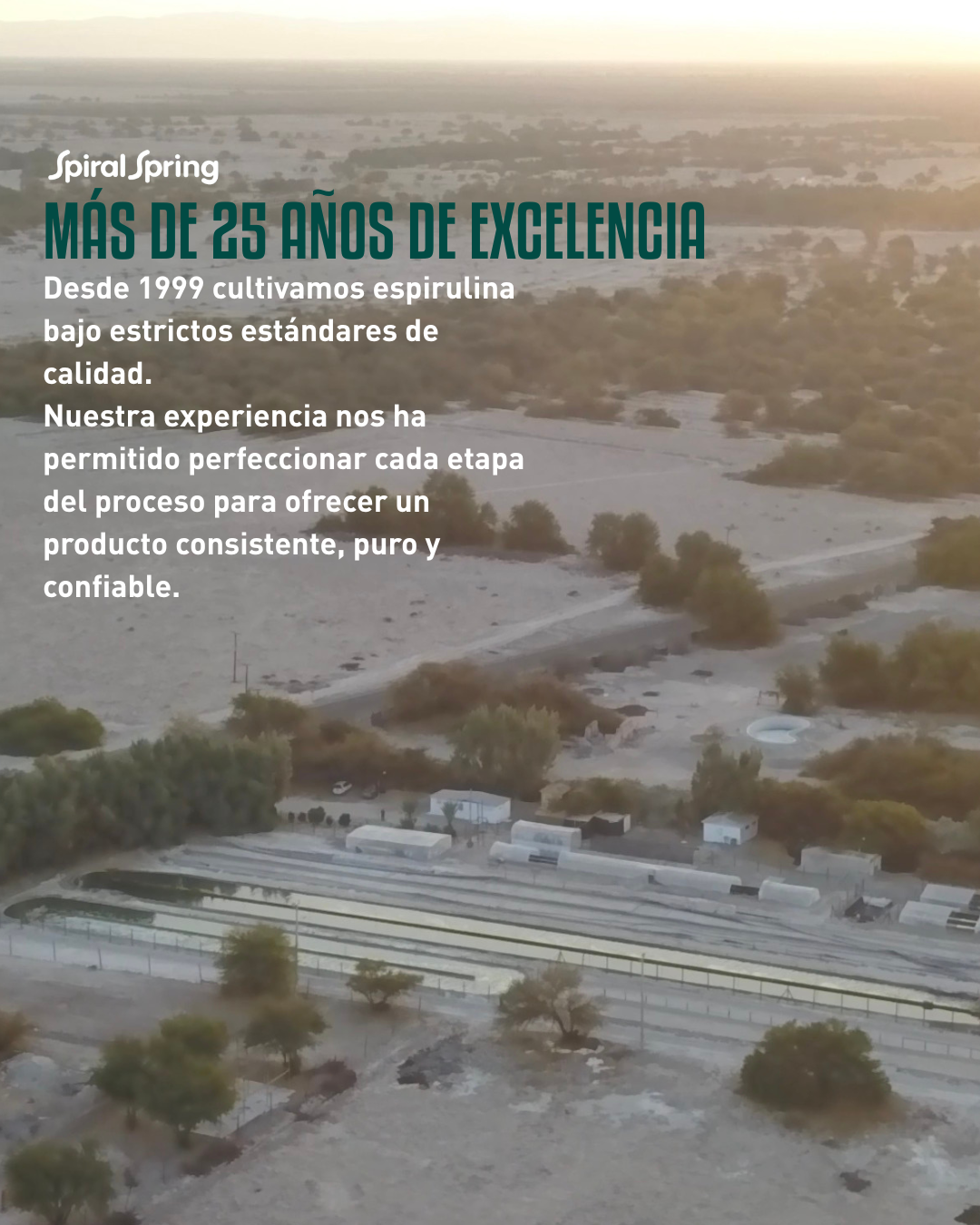 Espirulina en bolitas de 75g